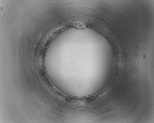 X0000051920548200507152059