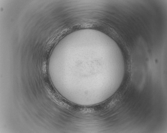 X0000051920549200507152059