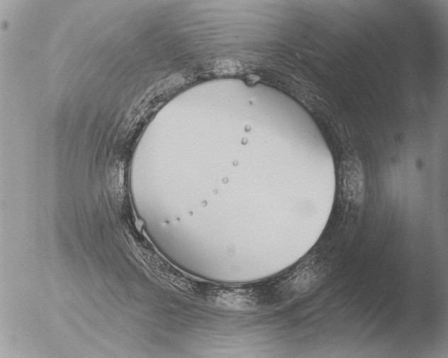 X0000051920550200507152059