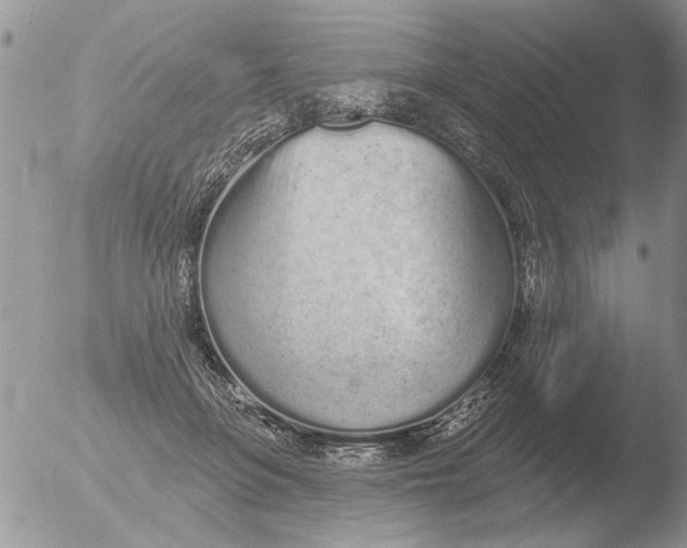 X0000051920551200507152059