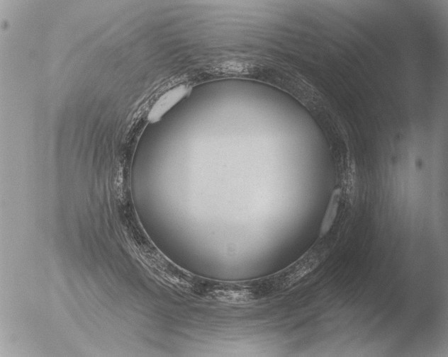 X0000051920552200507152059