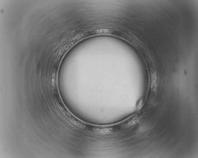 X0000051920553200507152059