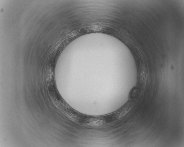 X0000051920555200507152059