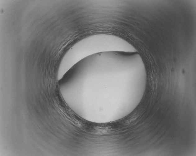 X0000051920556200507152059