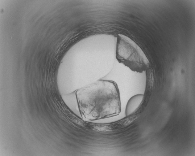 X0000051920557200507152059