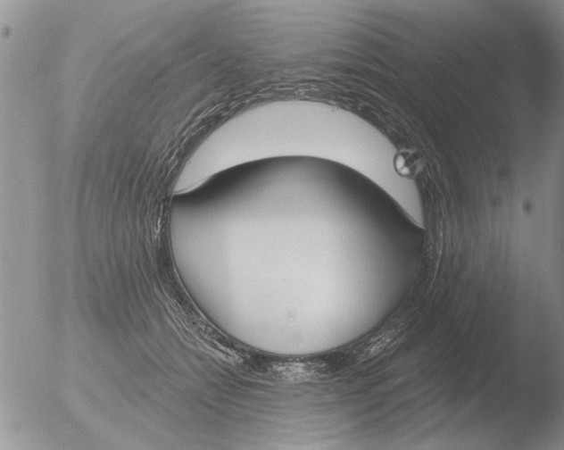 X0000051920558200507152100