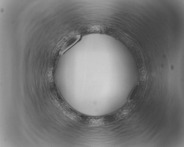 X0000051920560200507152100