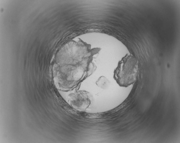 X0000051920561200507152100