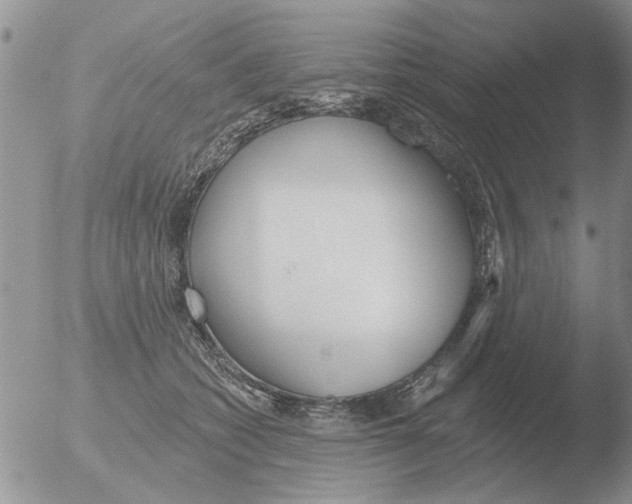 X0000051920562200507152100