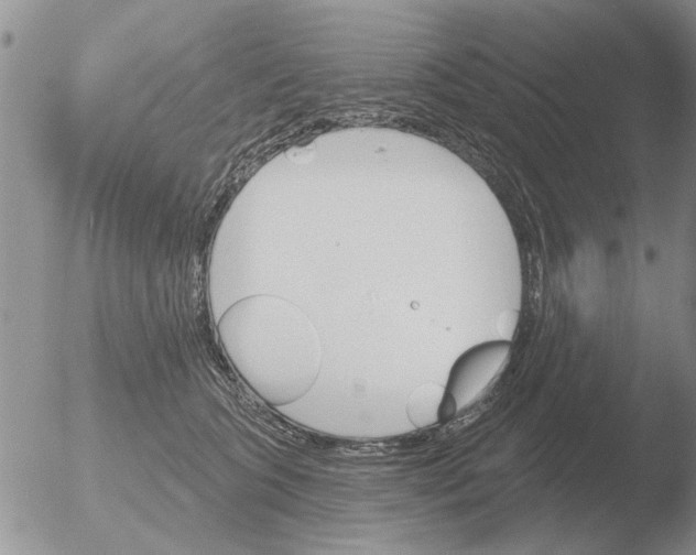 X0000051920563200507152100