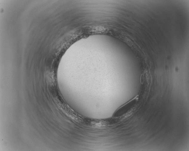 X0000051920564200507152100