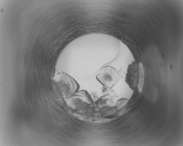 X0000051920565200507152100