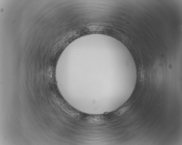 X0000051920567200507152100