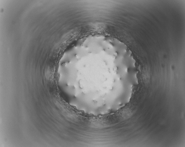 X0000051920568200507152100