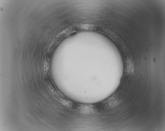 X0000051920569200507152100