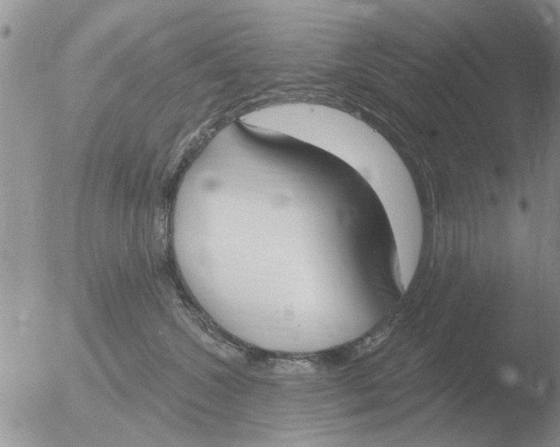 X0000051920572200507152100