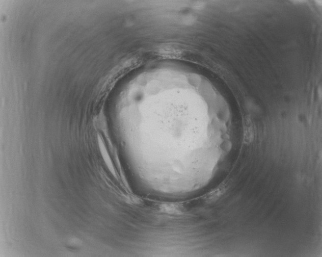 X0000051920573200507152100