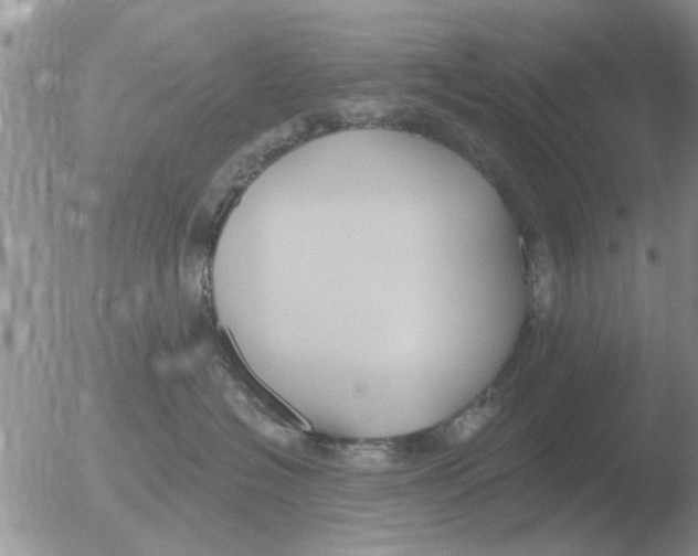 X0000051920574200507152100