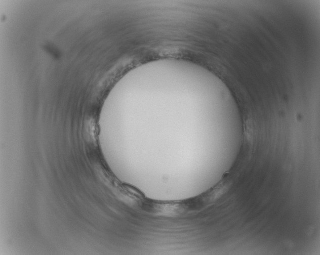 X0000051920575200507152100