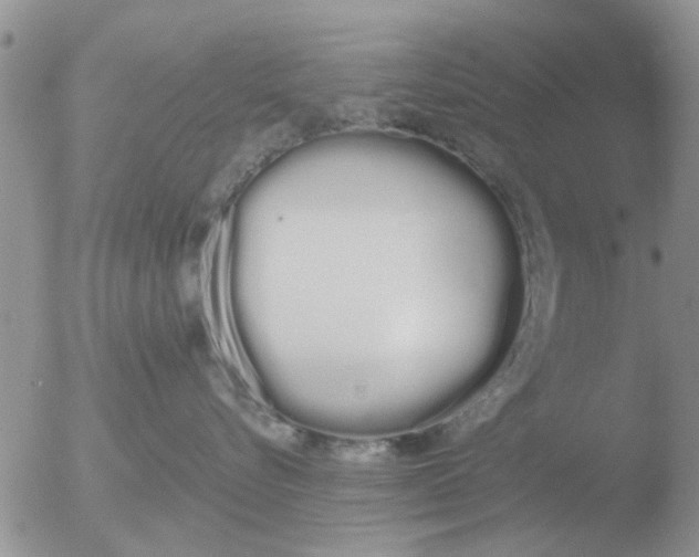 X0000051920576200507152100