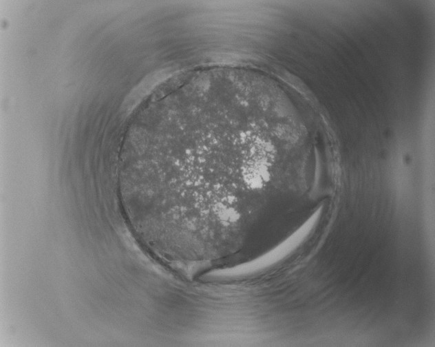 X0000051920577200507152059