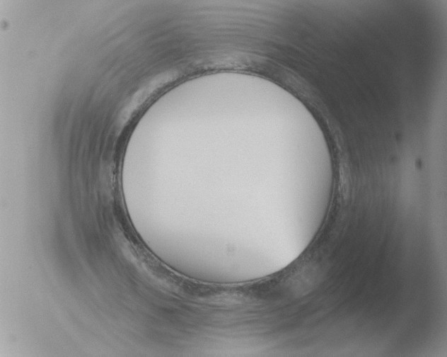 X0000051920578200507152059