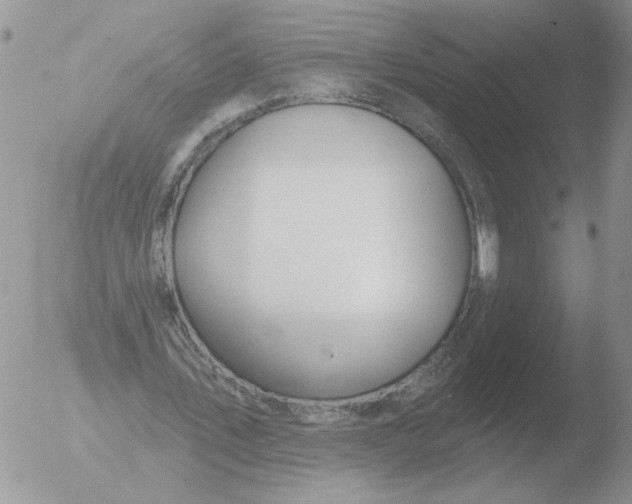 X0000051920579200507152059