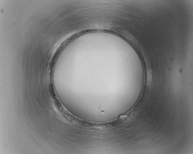 X0000051920580200507152059