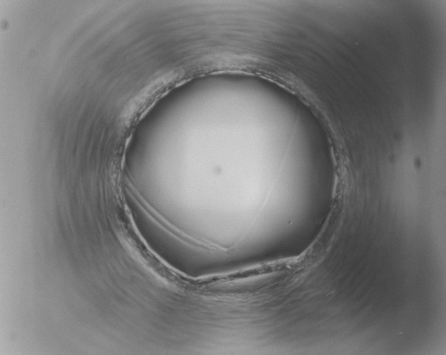 X0000051920581200507152059