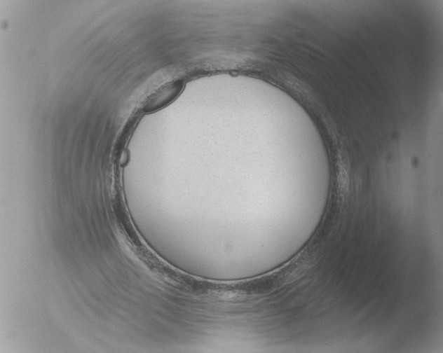 X0000051920582200507152059