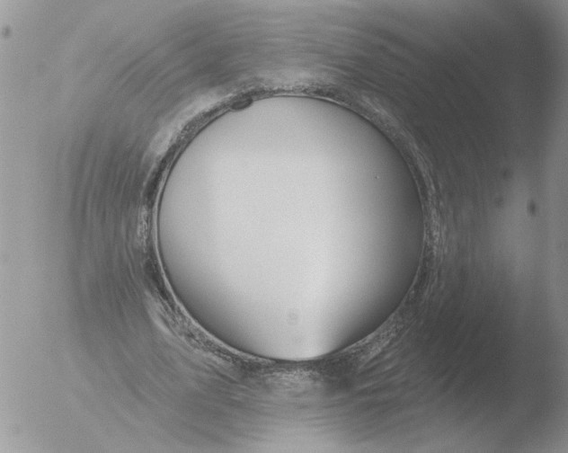 X0000051920583200507152059