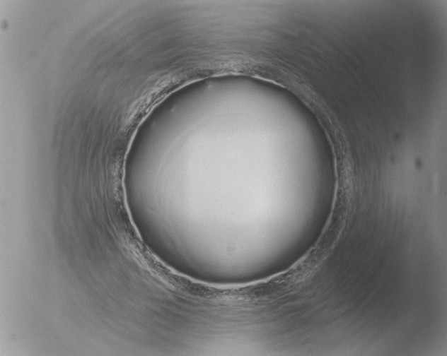 X0000051920585200507152059