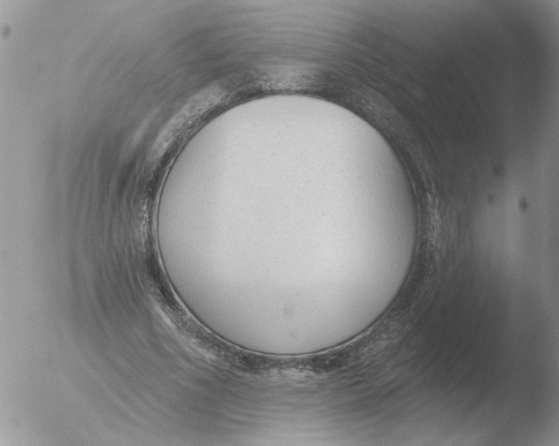 X0000051920586200507152059