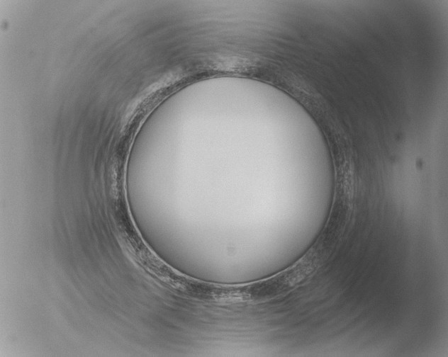 X0000051920587200507152059