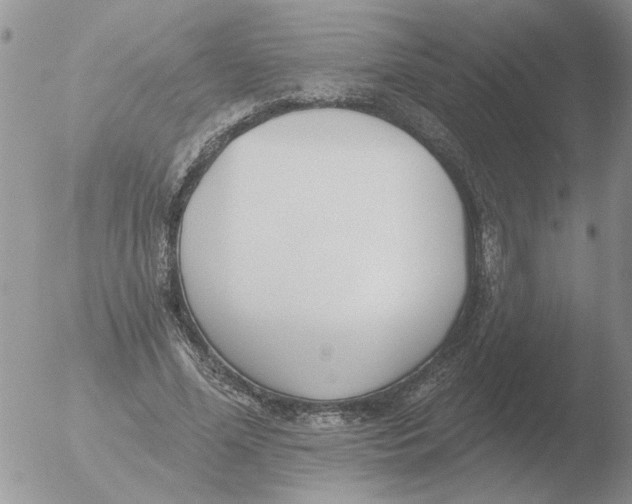 X0000051920588200507152059