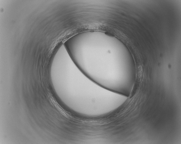 X0000051920589200507152059