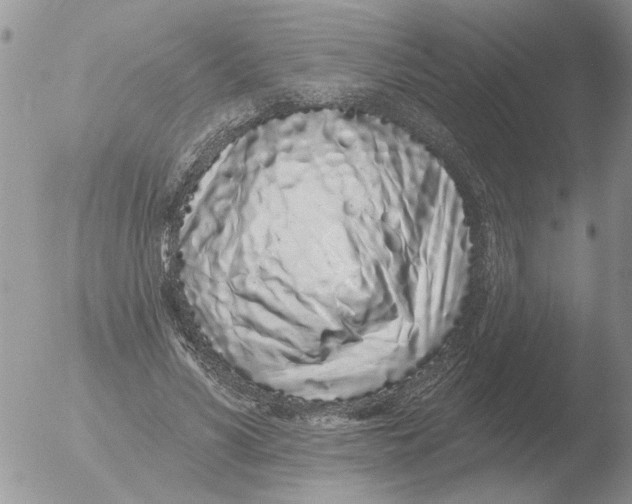 X0000051920590200507152059