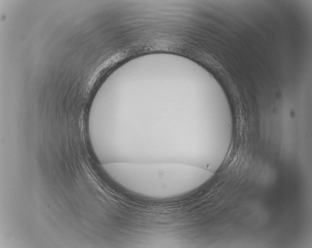 X0000051920591200507152059