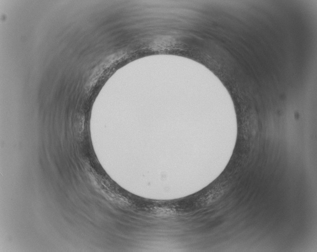 X0000051920592200507152059