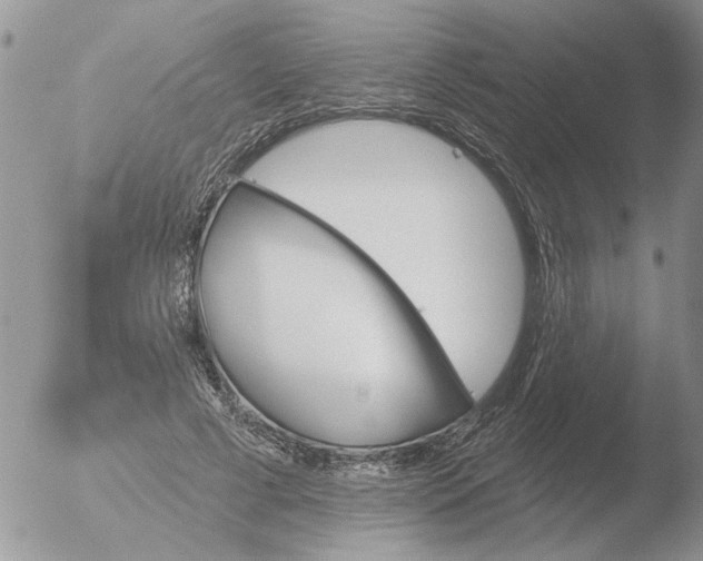 X0000051920593200507152059