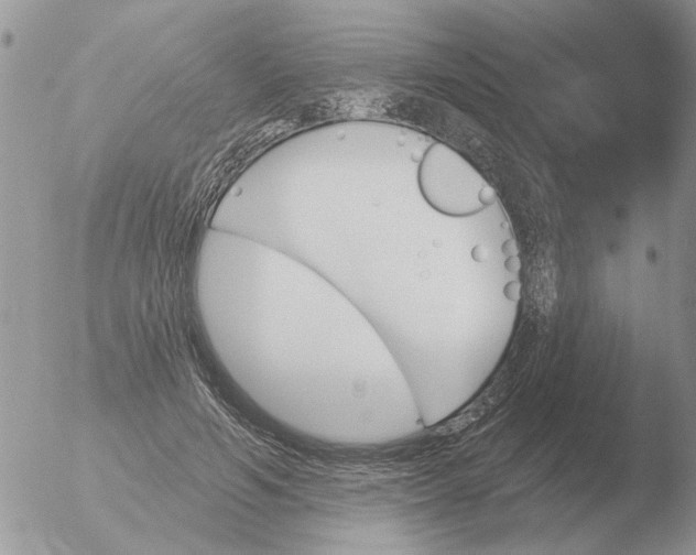 X0000051920594200507152059