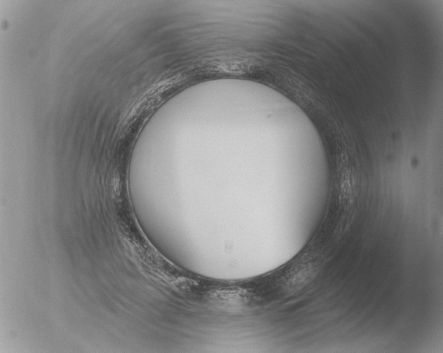 X0000051920595200507152059