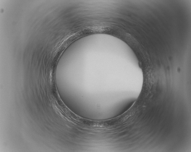 X0000051920596200507152059