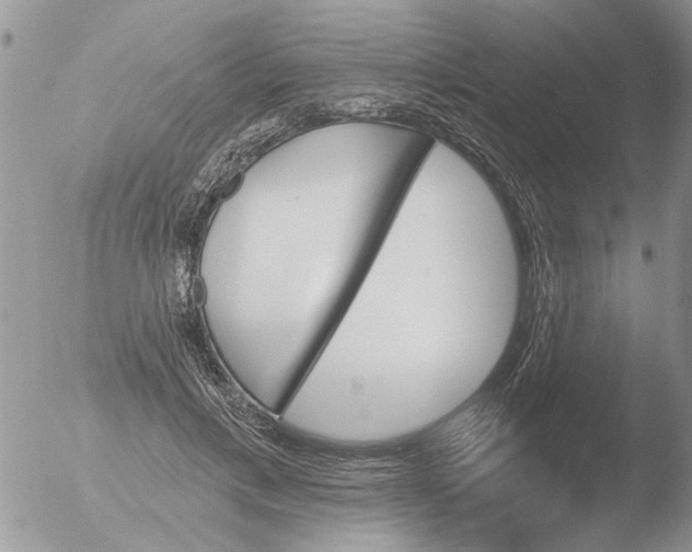 X0000051920597200507152059