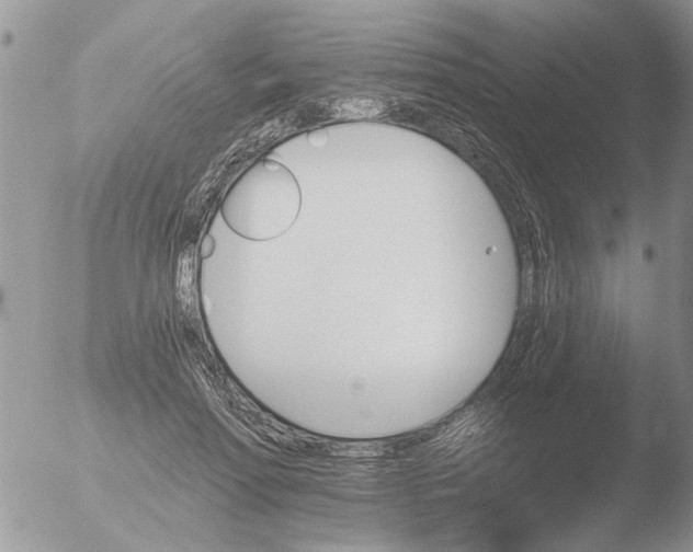 X0000051920598200507152059