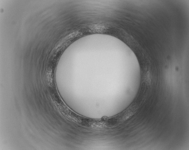 X0000051920599200507152059