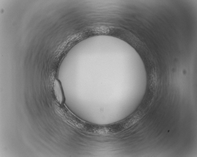 X0000051920600200507152059