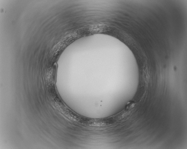 X0000051920601200507152059