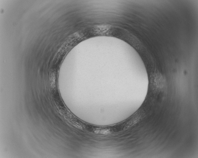 X0000051920602200507152059