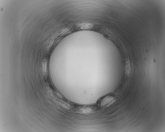 X0000051920604200507152059